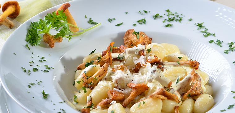 passender Wein und Rezept zu Gnocchi mit Pfifferlingen