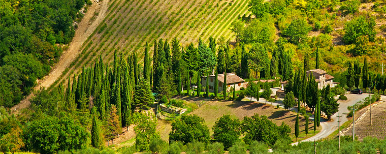 Die besten Rotweine aus der Toscana