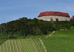 Weinevents der Weinregion Franken
