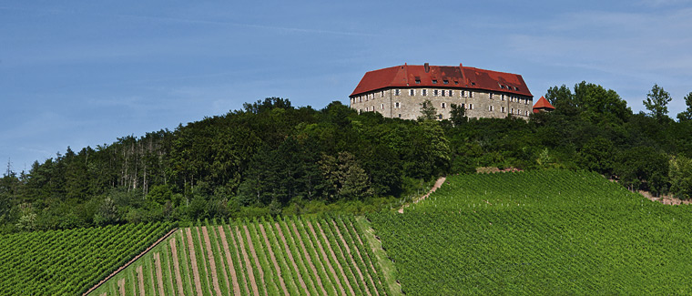 Weinevents der Weinregion Franken