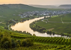 Weinevents der Weinregion Mosel