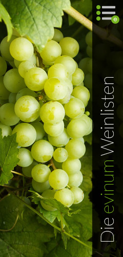 evinum weinlisten, Top Weine weltweit