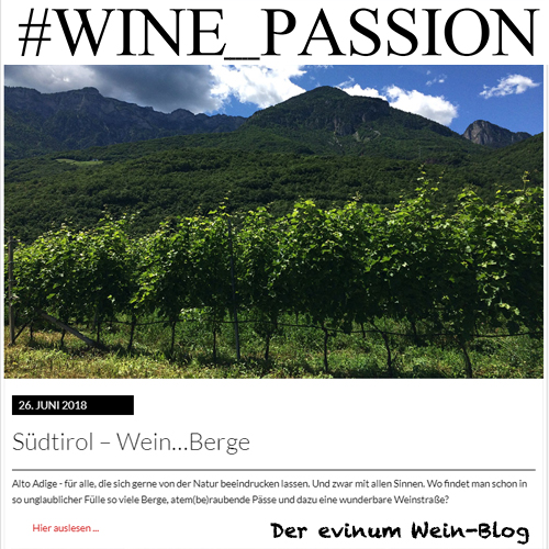 HP evinum Blog WINE_PASSION Teaser