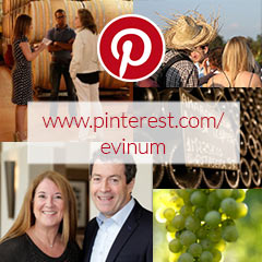 Homepage Social Media Kacheln Pinterest